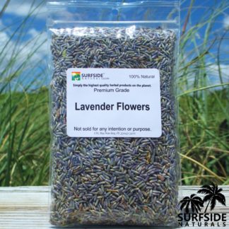 Lavender Flowers | Lavandula