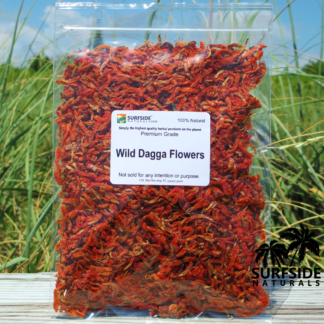 Wild Dagga Flowers